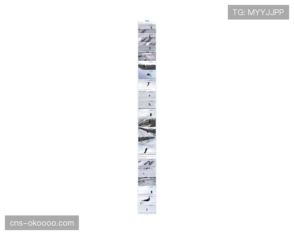 从雪道到领奖台：中国残奥单板滑雪队的米兰-科尔蒂纳之旅